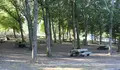 O BNG insta ao goberno da Xunta a tomar medidas inmediatas no Parque de Castiñeiras