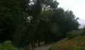 O BNG demanda até 17 actuacións na parroquia de Mogor