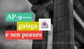 O BNG por unha AP-9 galega e sen peaxes