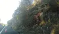 O BNG demanda, unha vez máis, a limpeza da variante de Marín VG-4.4