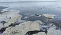 Vertidos fecais na Praia de Aguete