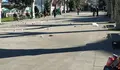 O BNG pedirá explicacións polo estado de suciedade da alameda este domingo