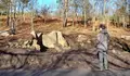O BNG insta ao goberno local a tomar medidas para a protección da mámoa de Castiñeiras II - Pedralonga