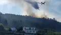 O BNG lamenta o veto do PP a unha moción sobre prevención de lumes e xestión forestal integral