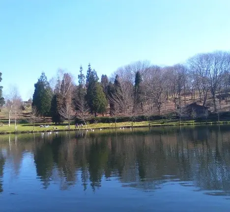 Lago de Casti&ntilde;eiras