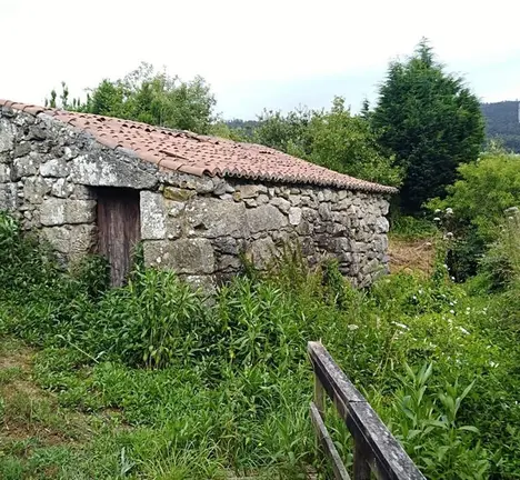 Mu&iacute;&ntilde;o