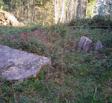 mamoa