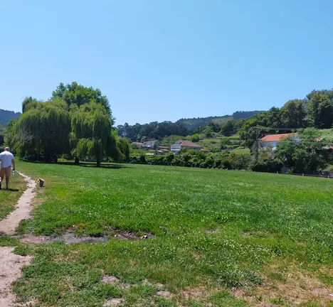 Parque canino