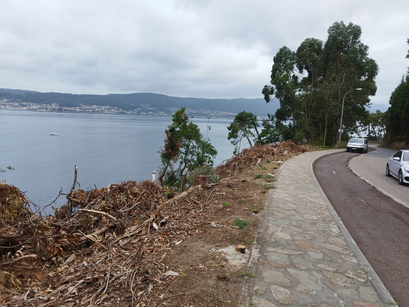 IMG-20230810-WA0000